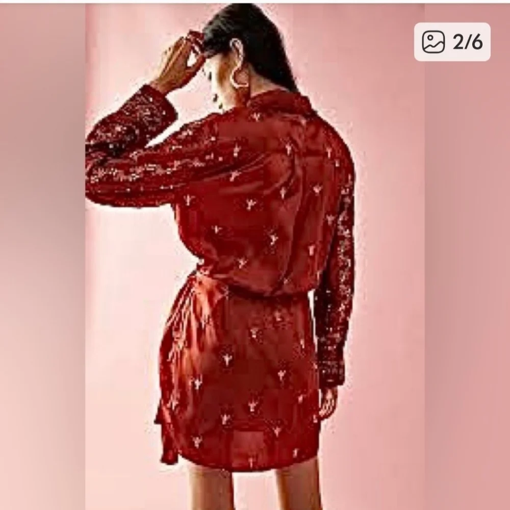 Free People Terracotta Embroidered‎ Dress